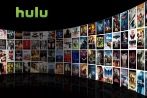 How Many People can Watch Hulu at once 